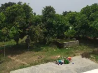  Agricultural Land for Sale in Pichatur, Chittoor