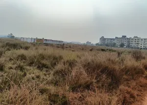 Residential Plot for Sale in Sundarpada, Bhubaneswar