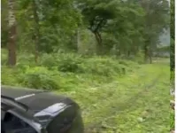  Agricultural Land for Sale in Mirik, Darjeeling