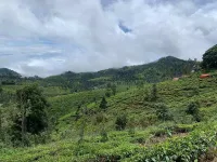  Residential Plot for Sale in Coonoor, Nilgiris