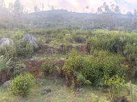  Residential Plot for Sale in Kotagiri, Nilgiris