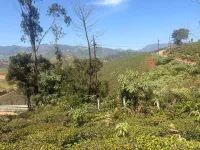 Residential Plot for Sale in Adikaratti, Nilgiris