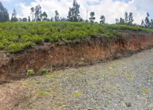 Residential Plot for Sale in Lovedale Junction, Ooty