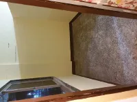 1 RK Flat for Rent in Sion, Mumbai