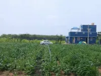  Agricultural Land for Sale in Uthukkottai, Thiruvallur