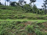  Residential Plot for Sale in Ranikhet, Almora