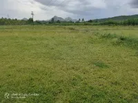  Agricultural Land for Sale in Nagari, Chittoor