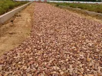  Residential Plot for Sale in Shamsabad, Agra