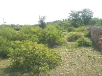  Residential Plot for Sale in Nathdwara, Rajsamand