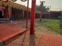  1000 Sq. Yards Commercial Land for Sale in Rani Khera, Delhi