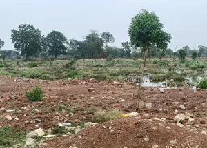 Residential Plot for Sale in Bhatagaon, Raipur