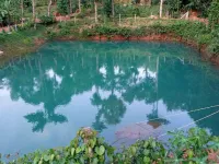  Agricultural Land for Sale in Puttur, Dakshin Kannad