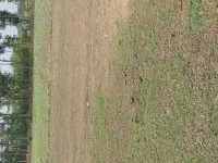  Residential Plot for Sale in Kurinjipadi, Cuddalore