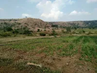  Agricultural Land for Sale in Paithan, Aurangabad