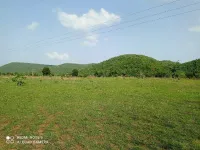  Agricultural Land for Sale in Khandwa Road, Indore