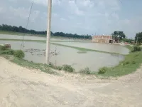  Residential Plot for Sale in Sirathu, Kaushambi