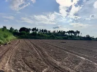  Agricultural Land for Sale in Biharigarh, Dehradun