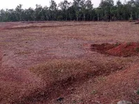  Commercial Land for Sale in Rampurhat, Birbhum