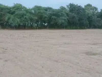  Agricultural Land for Sale in Abohar, Fazilka