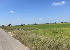 Residential Plot for Sale in Pakhowal Road, Ludhiana