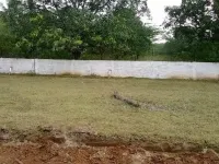  Residential Plot for Sale in Telaprolu, Vijayawada