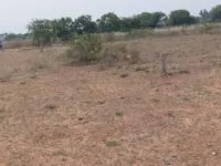 Residential Plot for Sale in Adavathur East, Tiruchirappalli