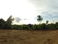  Residential Plot for Sale in Kollengode, Palakkad