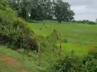  Agricultural Land for Sale in Civil Line, Sagar