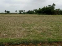 Residential Plot for Sale in Marine Drive Road, Puri
