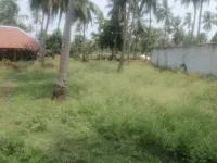  Agricultural Land for Sale in Amalapuram, East Godavari