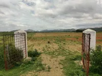  Agricultural Land for Sale in Markapur, Prakasam