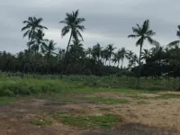  Residential Plot for Sale in Amalapuram, East Godavari