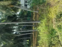  Agricultural Land for Sale in Amalapuram, East Godavari