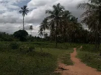  Agricultural Land for Sale in Kora, Tumkur