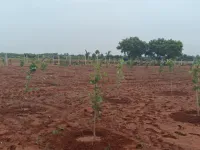  Agricultural Land for Sale in Marakkanam, Villupuram