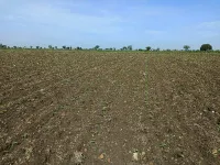  Agricultural Land for Sale in Kodangal, Vikarabad