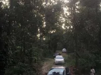  Residential Plot for Sale in Sirumalai, Dindigul