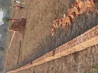  Residential Plot for Sale in Selakui, Dehradun