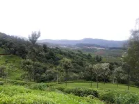  Agricultural Land for Sale in Coonoor, Nilgiris
