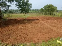 Residential Plot for Sale in Pallikonda, Vellore