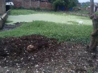  Industrial Land for Rent in Bairiya, Patna