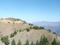  Agricultural Land for Sale in Naldehra, Shimla