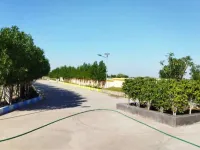 3.5 BHK Villa for Sale in Dholera, Ahmedabad