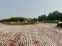  Residential Plot for Sale in Dholera, Ahmedabad