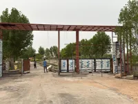  Residential Plot for Sale in Dholera, Ahmedabad
