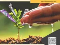  Agricultural Land for Sale in Vinukonda, Guntur