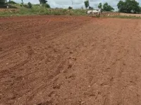  Agricultural Land for Sale in Koratagere, Tumkur