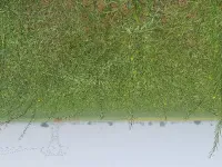  Agricultural Land for Sale in Mahwa, Dausa