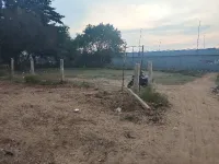  Residential Plot for Sale in Anna Nagar, Madurai