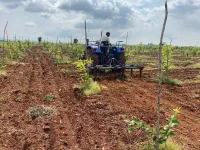  Agricultural Land for Sale in Konakanamitla, Prakasam